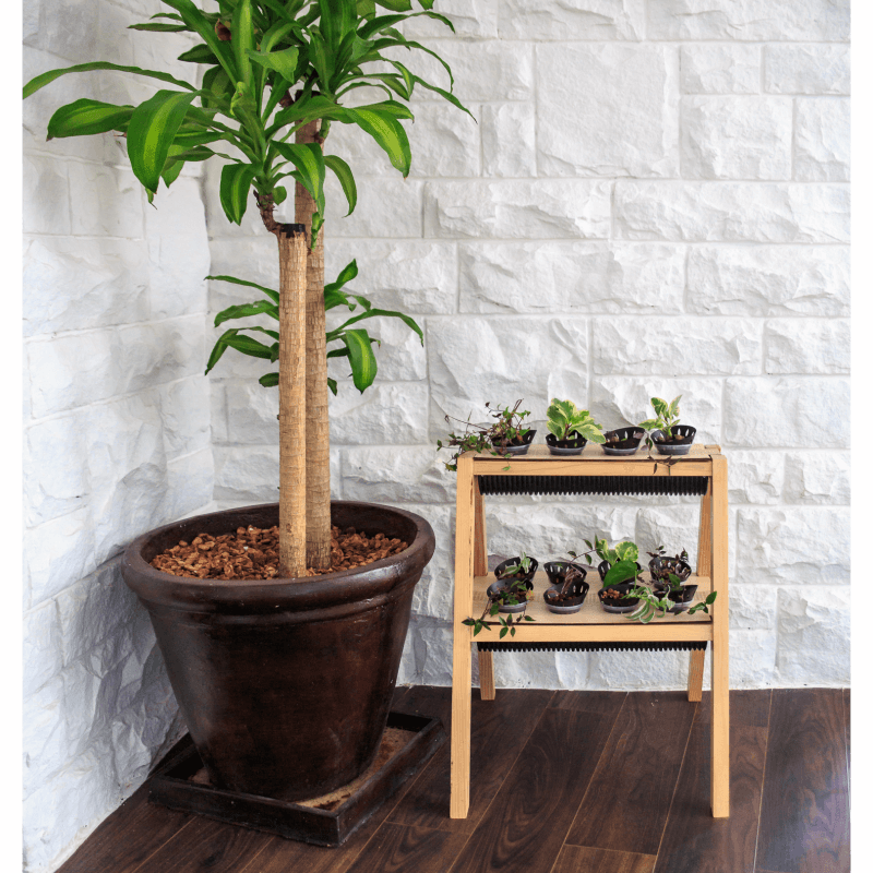 Vivo Kaj Lumo Gone Mad Tri Propogation Stand Casual pose Image Vivo Kaj Lumo Gone Mad Tri Propogation Stand Casual pose Image Vivo Kaj Lumo _ Headless Horse_Tri Propogation Stand_ Casual pose Image