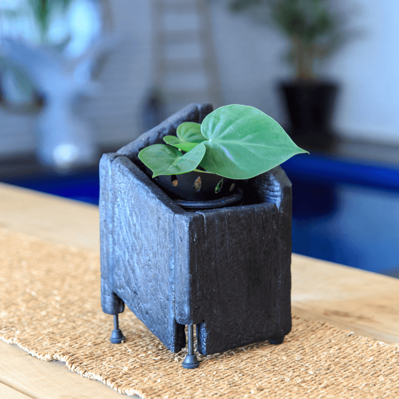 Vivo Kaj Lumo Du Yakisugi Planter Feature Image Vivo Kaj Lumo Du Yakisugi Planter Feature Image Vivo Kaj Lumo _ Du _ Yakisugi_Planter_Feature Image