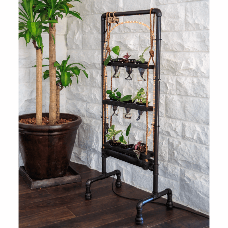 Vivo Kaj Lumo Asserted Yakisugi Steel Propogation stand Casual pose Image Vivo Kaj Lumo Asserted Yakisugi Steel Propogation stand Casual pose Image Vivo Kaj Lumo _ Asserted _ Yakisugi_Steel_Propogation stand_Casual pose Image