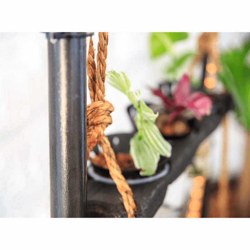 Vivo Kaj Lumo Asserted Yakisugi Steel Propogation stand Close up Image Vivo Kaj Lumo Asserted Yakisugi Steel Propogation stand Close up Image Vivo Kaj Lumo _ Asserted _ Yakisugi_Steel_Propogation stand_Close up Image
